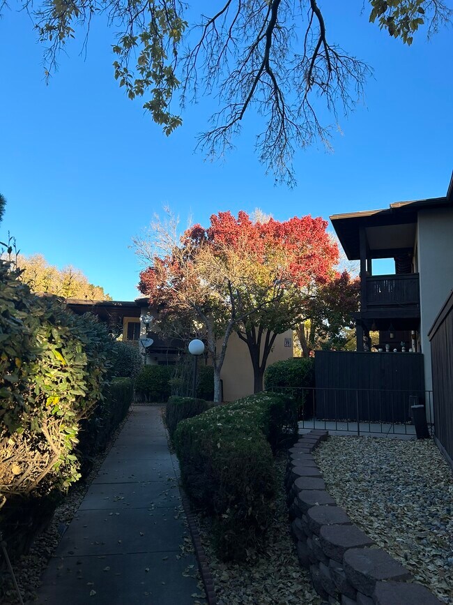 Photo - 1601 Pennsylvania St NE Unit Winrock Villas Z-19