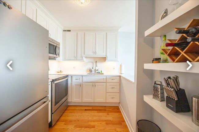 Photo - 1460 N Sandburg Terrace Unit 1503A