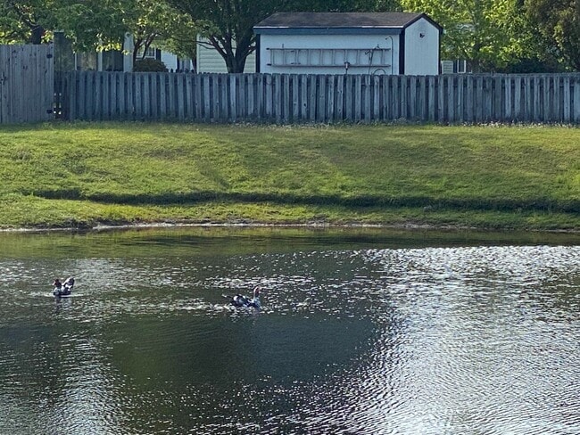 Photo - COMING SOON! North Chase Community! 3 BR/ 2 Bath/ 2 Car garage! Fenced back yard!