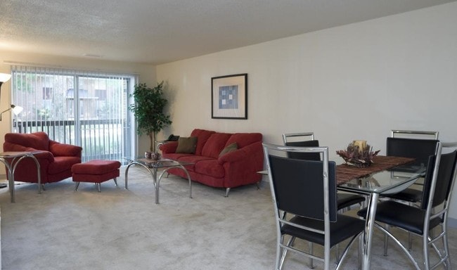 Spacious Dining Room/Living Room Combinations