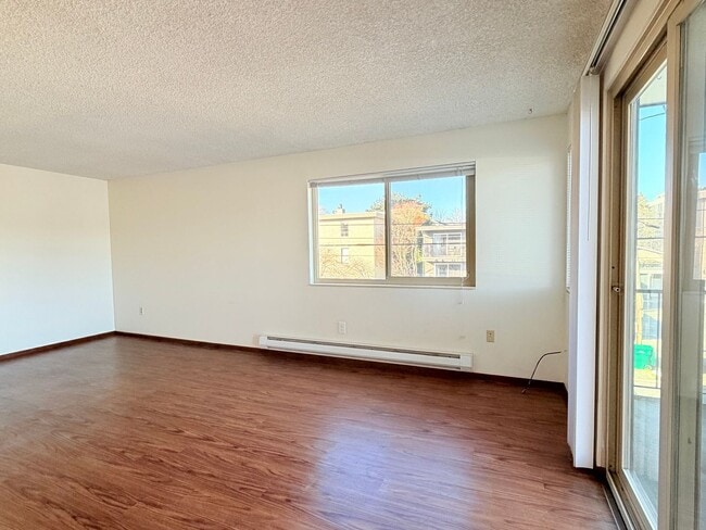 Photo - Seattle Bricks