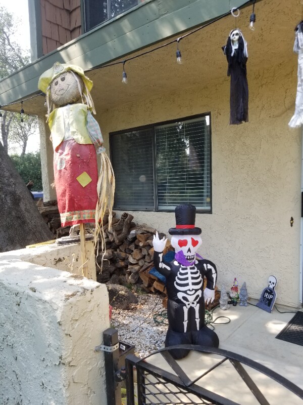 Photo - 3067 Northwoods Wy