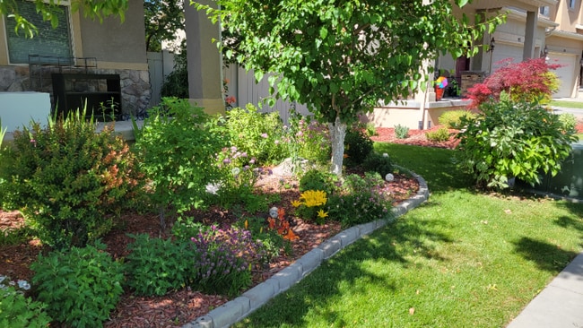 Photo - 807 Whisper Cove Rd