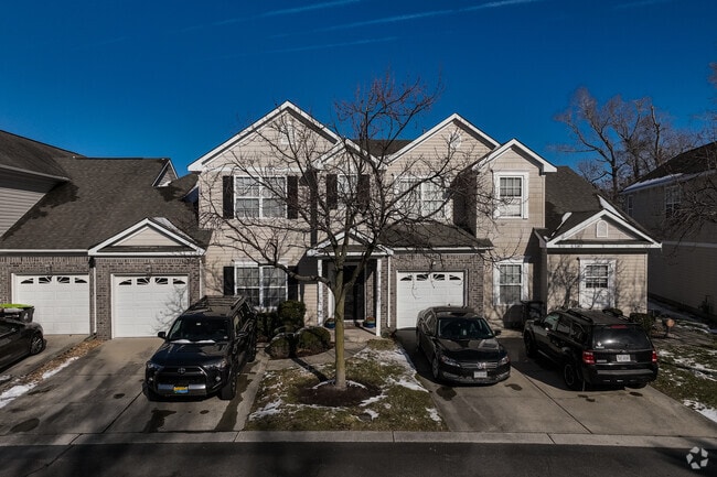 Photo - Witchduck Woods