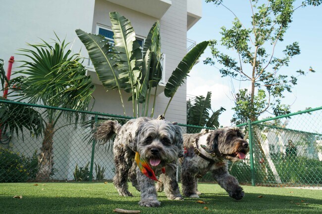 Parque para perros - Atlantica at Dania Beach