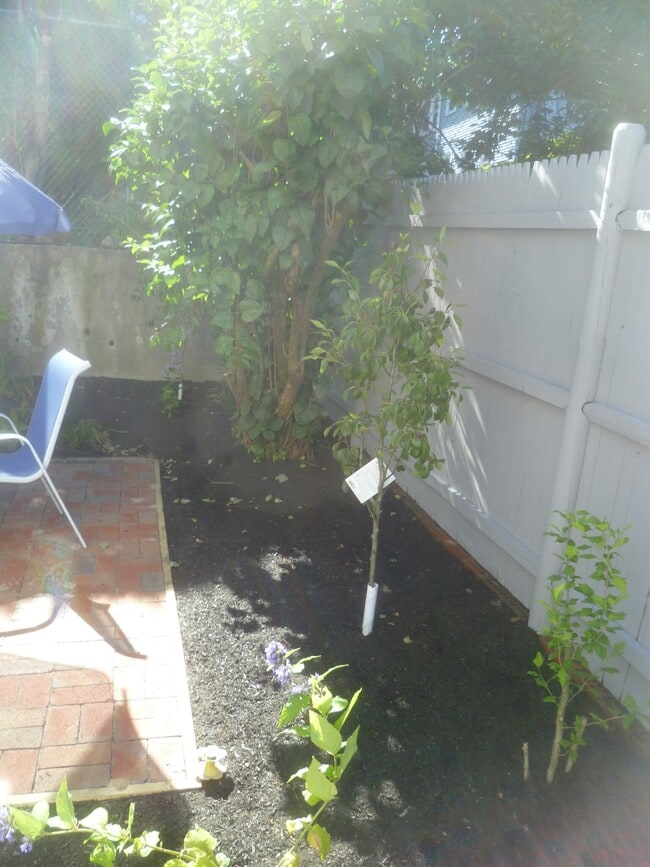 Photo - 54 Hobson St Unidad #one