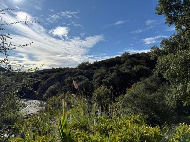 Photo - 833 Calle La Primavera