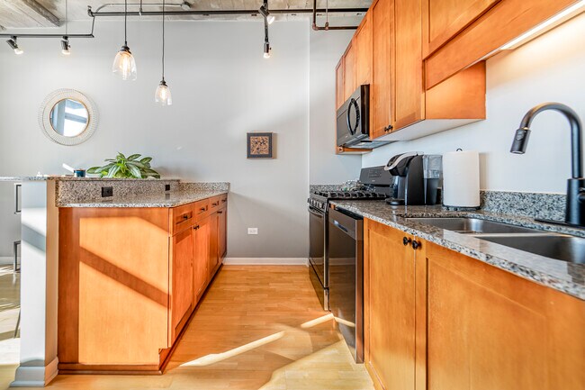 Photo - 1550 S Blue Island Ave Unit 923