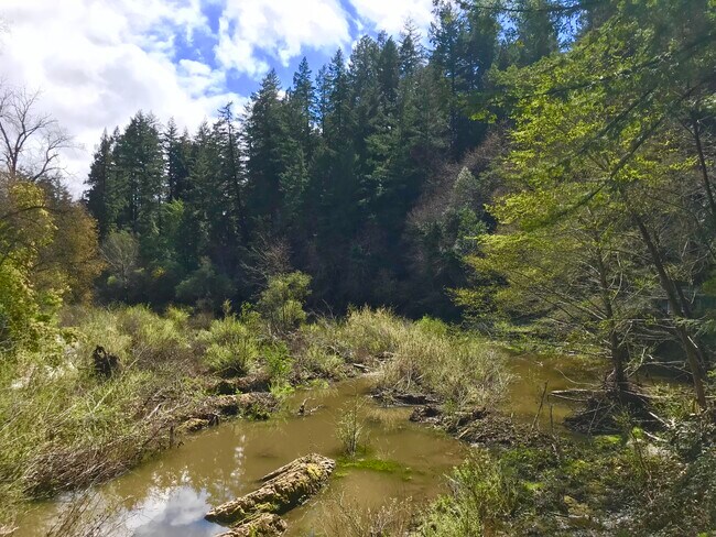 Photo - 9550 Old County Rd