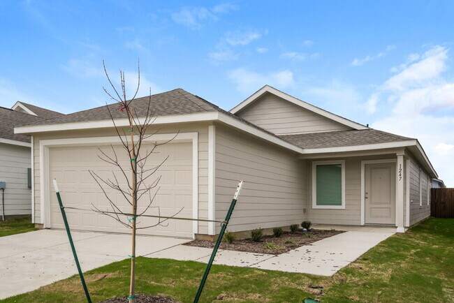 Building Photo - 1247 Maple St