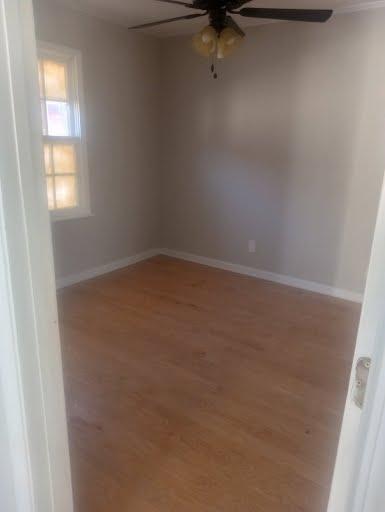 Photo - 1971 Beech Ave