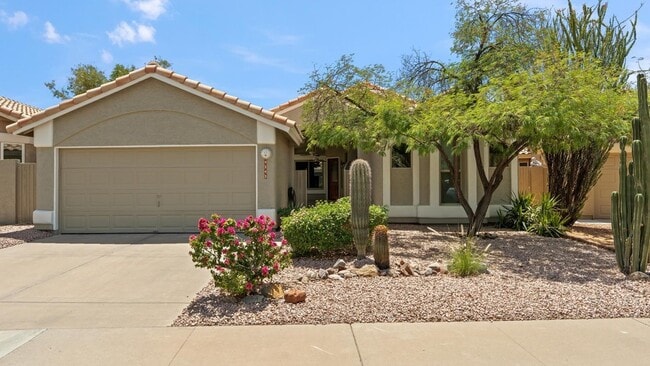 Photo - 9343 E Windrose Dr