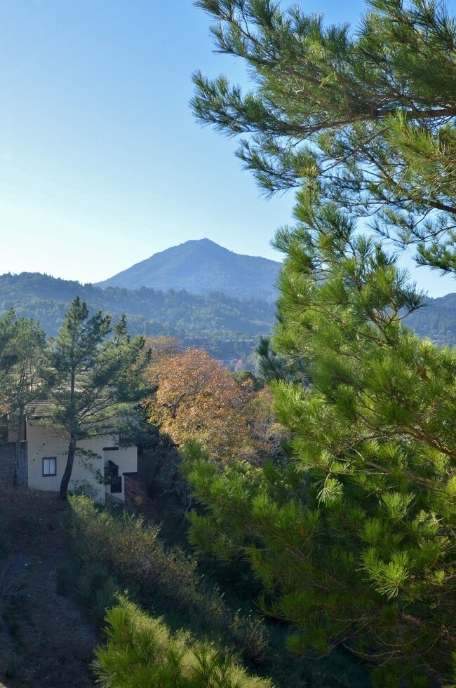 Spyglass Hill Condo Featuring Scenic Mt. T... - Spyglass Hill Condo Featuring Scenic Mt. T...
