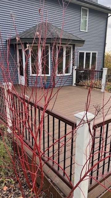 Photo - 2521 Williams Dr