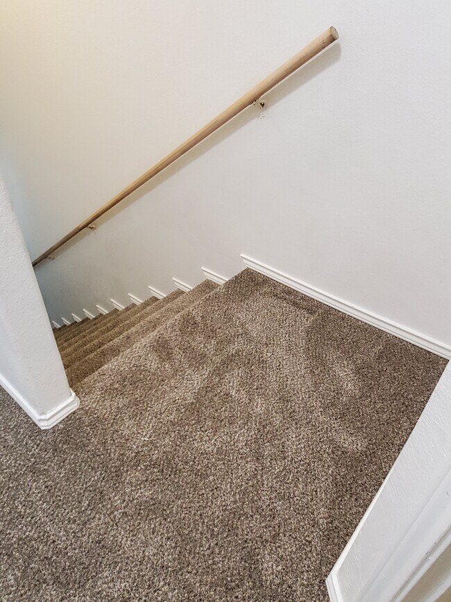 New Carpet - 721 Sonesta Dr Unit C
