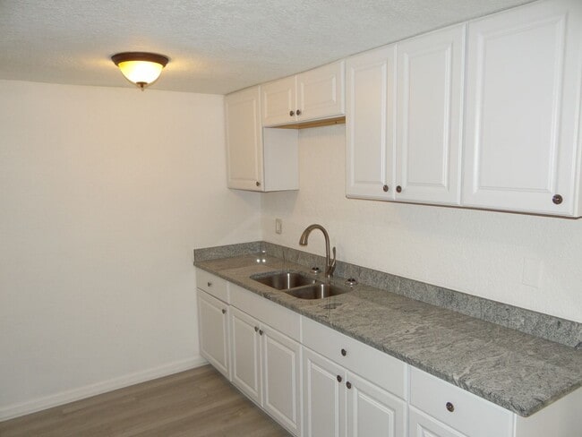 Photo - Renovated 4 / 2 rental