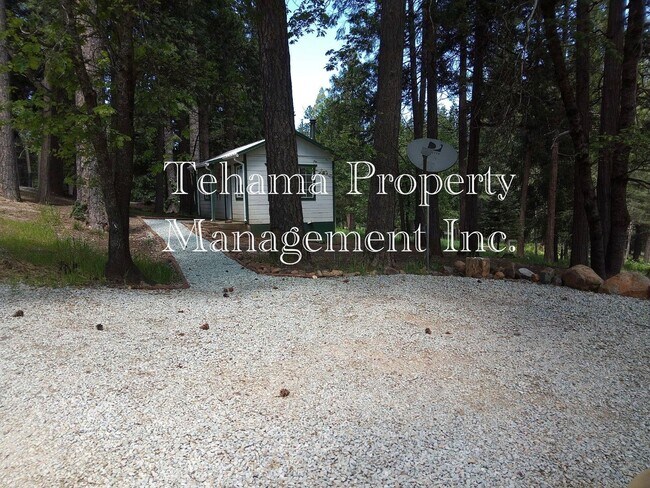 Photo - Pine Ridge Park Estates Unit 6945 Woodpecker Ln.