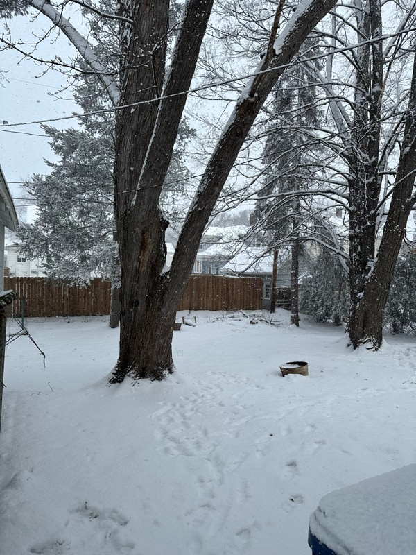 Photo - 616 Dekalb St