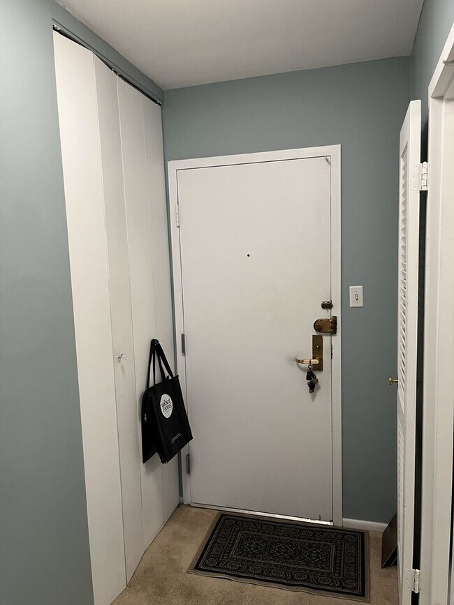 Photo - 777 N Michigan Ave Unit 2108
