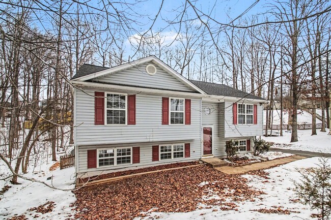 Photo - AVAILABLE NOW-3 Bedroom Split foyer in Stafford