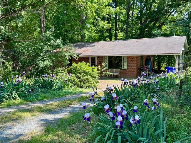Charming Ranch in Carrboro with Beautiful ... - Charming Ranch in Carrboro with Beautiful ... House