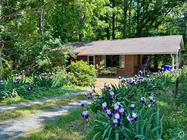 Building Photo - Charming Ranch in Carrboro with Beautiful ... Rental
