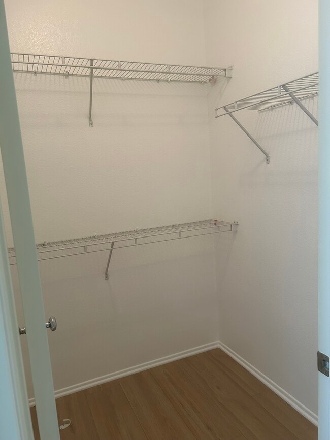 WALK-IN CLOSET - 27288 Riverview Ln Unit RIVERVIEW