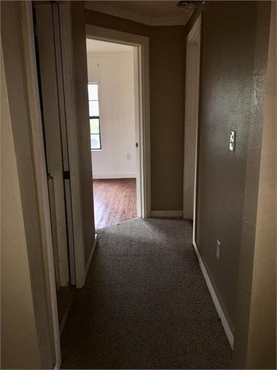 1100 Chihuahua St