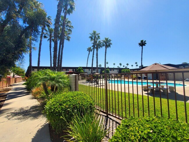 Photo - Paseo Del Prado Apartments