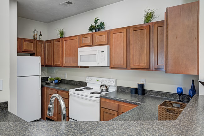 Photo - Autumn Chase