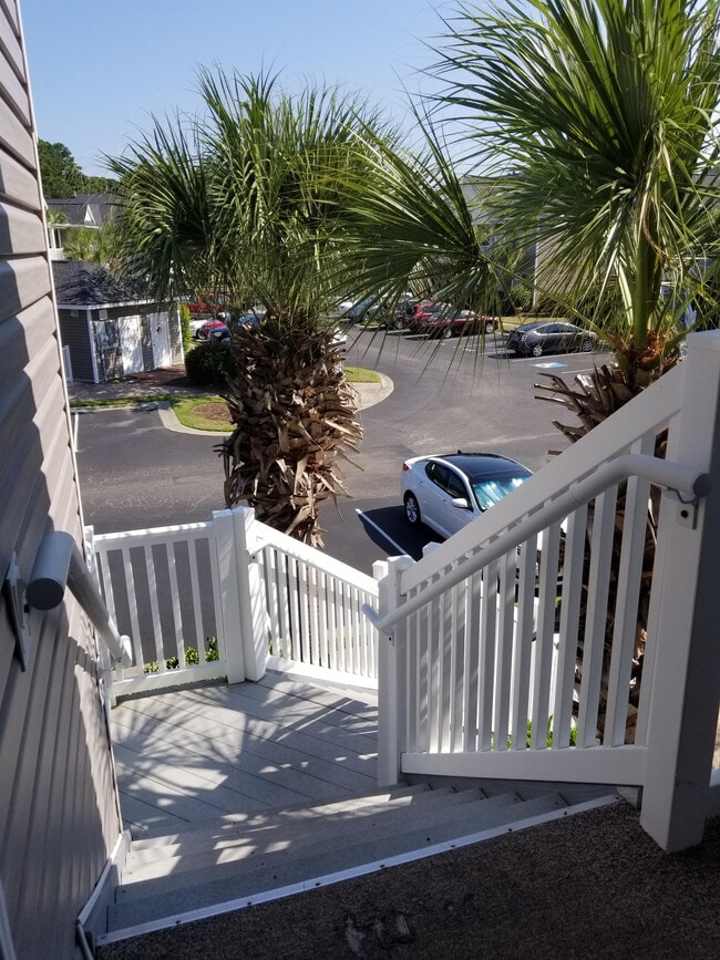 889 Palmetto Trail