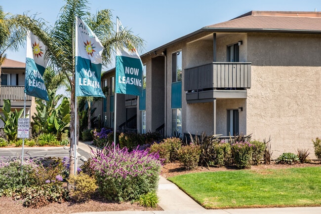 Photo - Amara Apartments