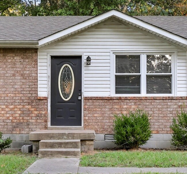 Photo - 1040 Britton Springs Rd