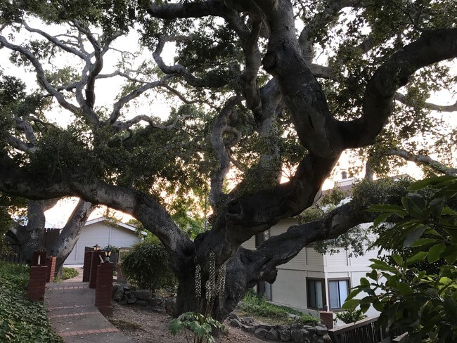 Photo - Villa Avila Apartments