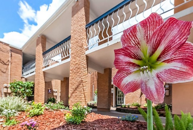 Forestwood Apartments