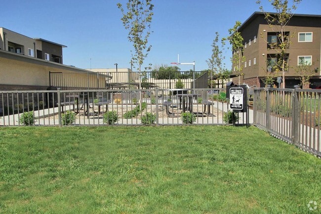 Pet Area