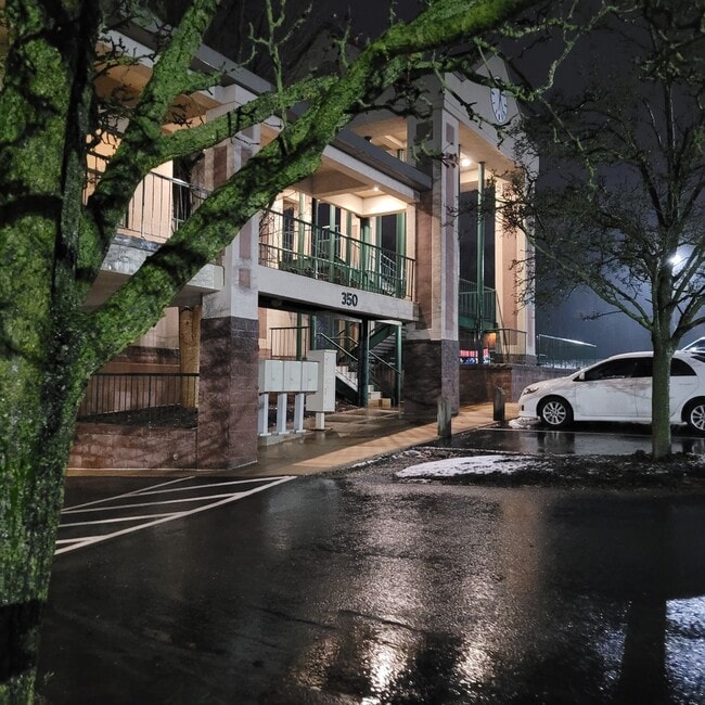 Photo - GKM 316 Primrose