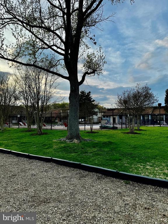 Photo - 8402 Jinetes Ct