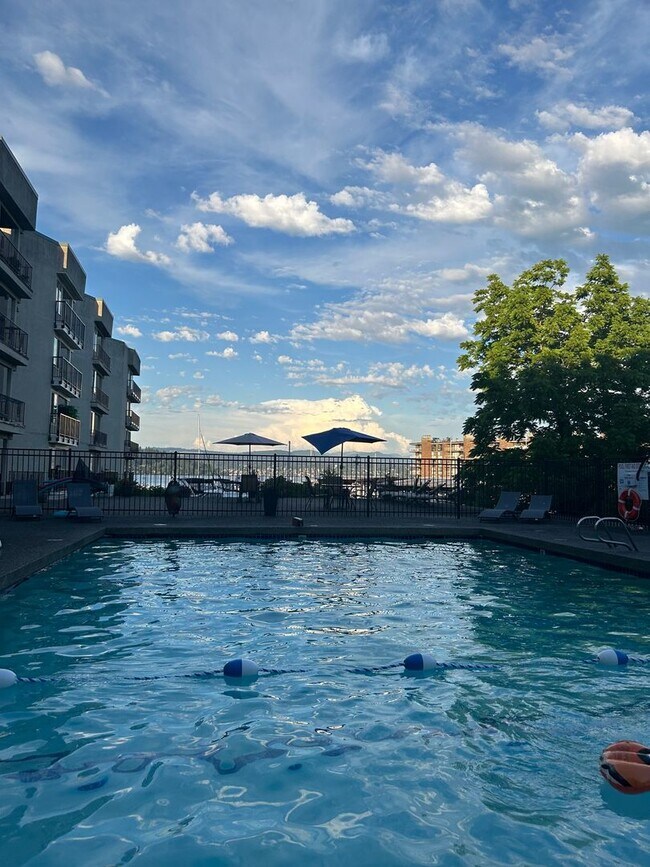 Building Photo - Updated 2-Bedroom Condo with Water Views, 2 Parking Spaces & Poolside Location Unit 203