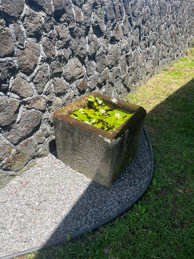 Photo - 655A Hinano St