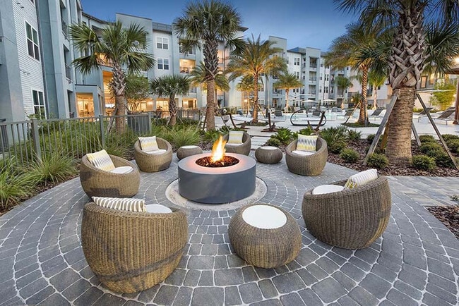 Photo - Aurora on the Trail