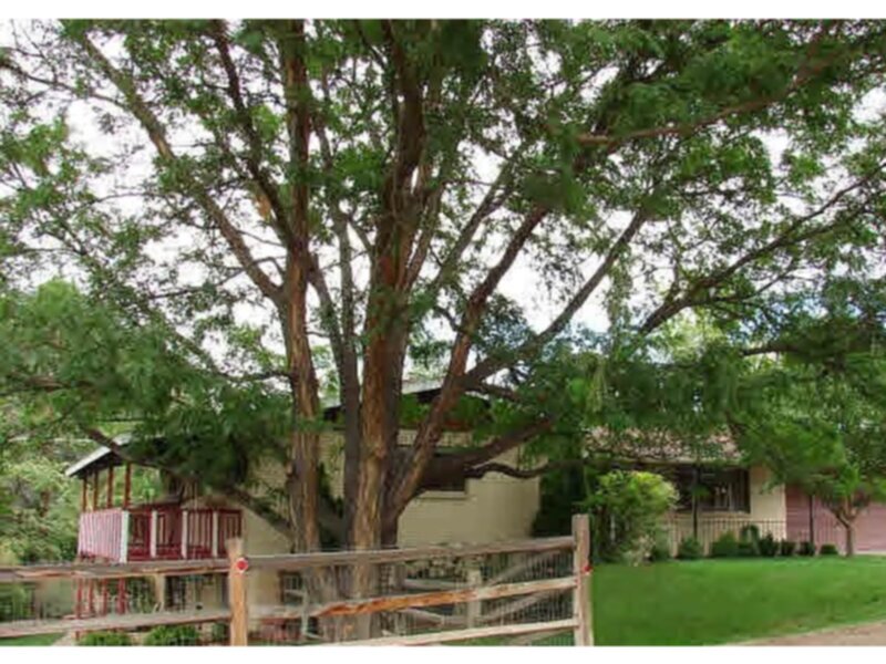 Beautiful, Spacious 3 Bed! - Beautiful, Spacious 3 Bed!