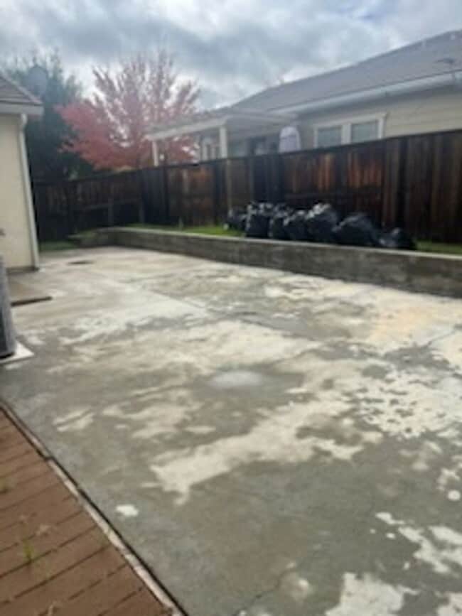 Photo - Patterson Stunner