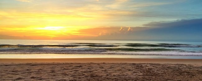 Building Photo - 23 Hibiscus Dr