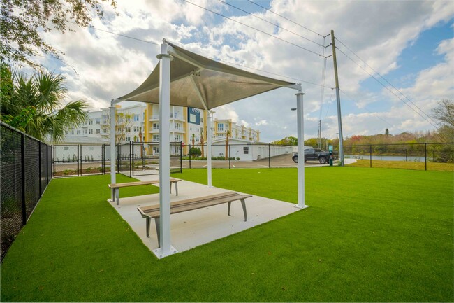 Dog Park Cirrus Apartments
