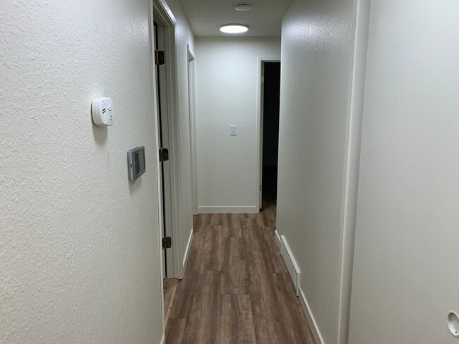 Photo - **Daisey King **