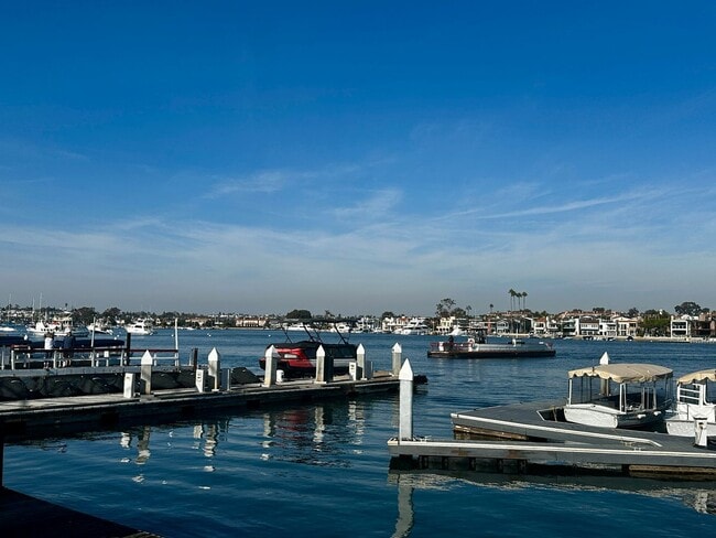 Building Photo - Balboa Unit #C (Back-Upper) Rental
