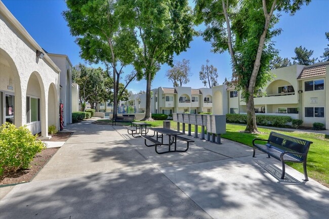 San Jose Greens