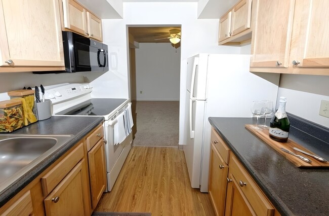 Photo - French Court