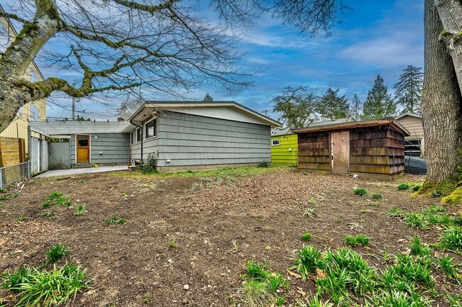 Photo - Maple Leaf Rambler